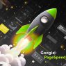 PageSpeed Insights: Definisi dan Cara Menggunakannya
