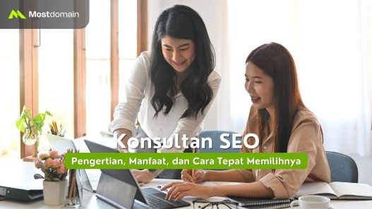 konsultan seo