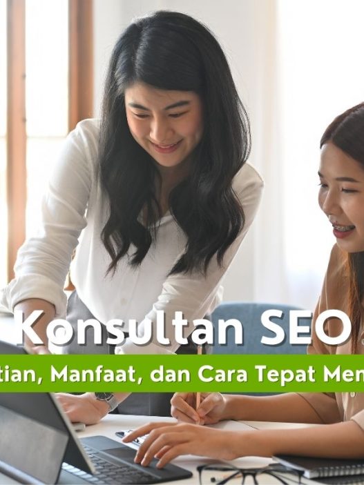 konsultan seo