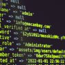 most domain schema markup 2025