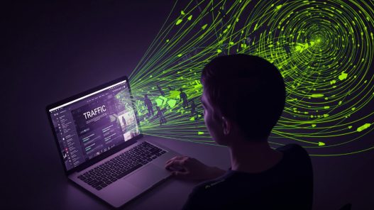 jenis traffic website