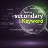 secondary keyword mostdomain.org
