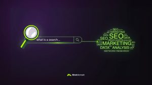 Search Queries vs Keyword: Perbedaan & Cara Optimasinya