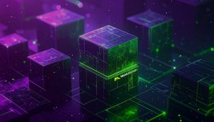 taksonomy website seo