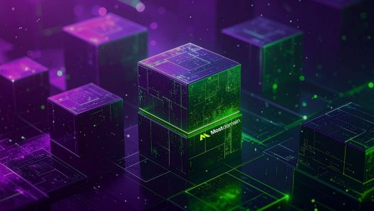taksonomy website seo