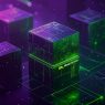 taksonomy website seo