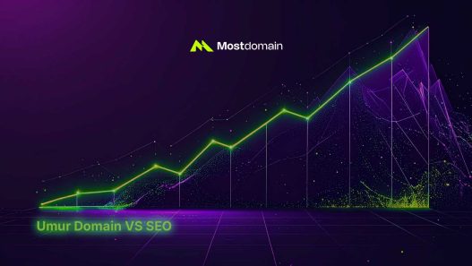 umur domain vs seo