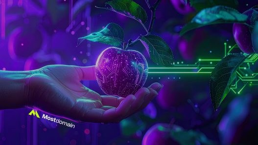 strategi low hanging fruit dalam SEO